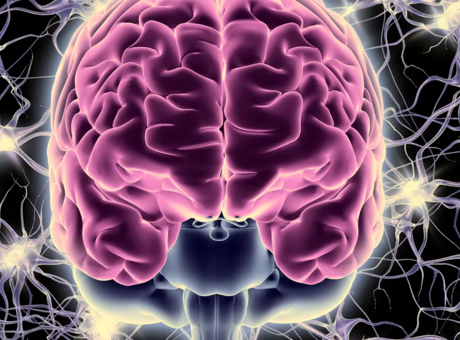 Mozek propojený sítí zářících neuronů